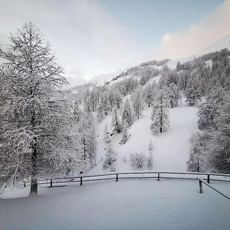 Cosy Apart, Ski Snow Surf, Foux D'Allos Avec Vue Eksteriør billede