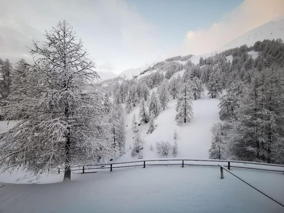Cosy Apart, Ski Snow Surf, Foux D'Allos Avec Vue Eksteriør billede